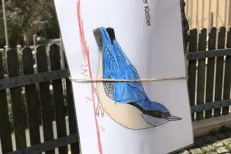 VogelpfadaufSchulhof