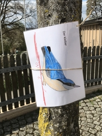 IMG 6573